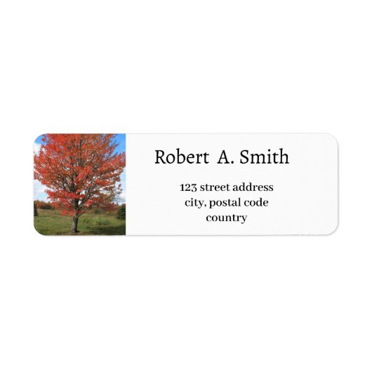 Autumn red maple tree Label (Voorkant)