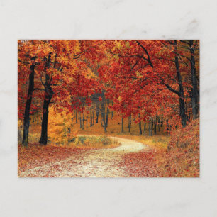 Autumn Red Season Landschap Briefkaart