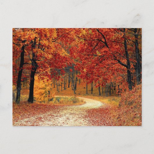 Autumn Red Season Landschap Briefkaart (Voorkant)