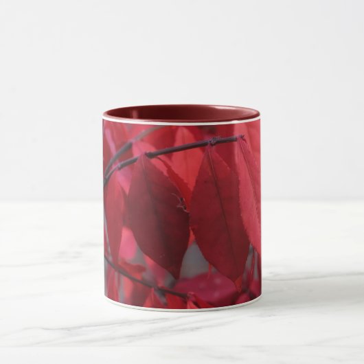 Autumn Red Two-Tone Mug Mok (Midden)
