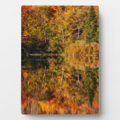 Autumn reflection on Coffin Pond Fotoplaat (voorkant)