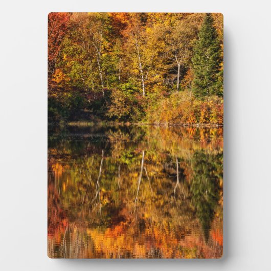 Autumn reflection on Coffin Pond Fotoplaat (voorkant)