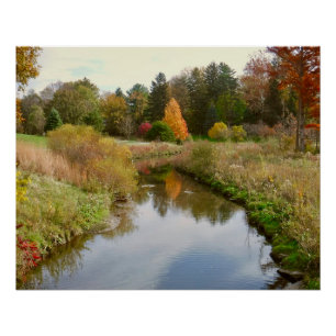 AUTUMN REFLECTIONS BIJ TOLEDO (OHIO) BOTANICAL GAR PERFECT POSTER