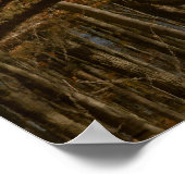 Autumn Reflections  Poster (Hoek)