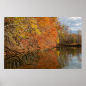 Autumn Reflections  Poster (Voorkant)