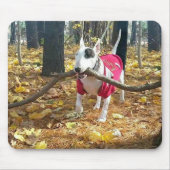 Autumn Rex mousepad Muismat (Voorkant)