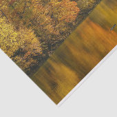 Autumn River Elk Tissuepapier (Detail)