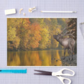 Autumn River Elk Tissuepapier (Craft)