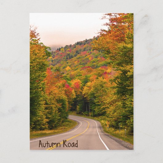 Autumn Road Briefkaart (Voorkant)