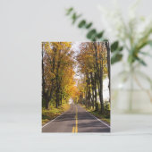 Autumn Road Briefkaart (Staand voorkant)