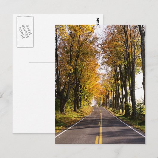 Autumn Road Briefkaart (Voorkant / Achterkant)