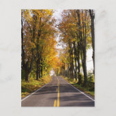 Autumn Road Briefkaart (Voorkant)