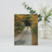 Autumn Road briefkaart (Staand voorkant)