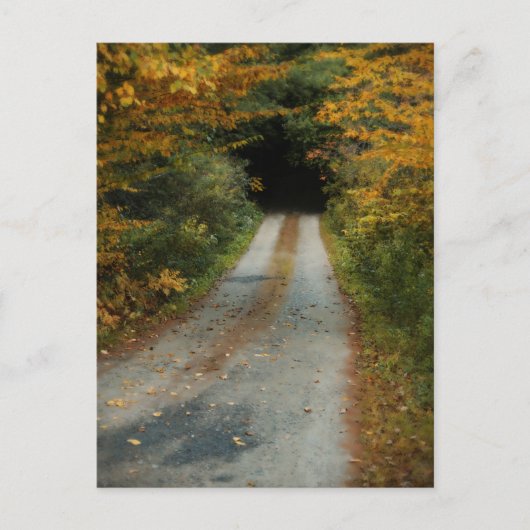 Autumn Road briefkaart (Voorkant)