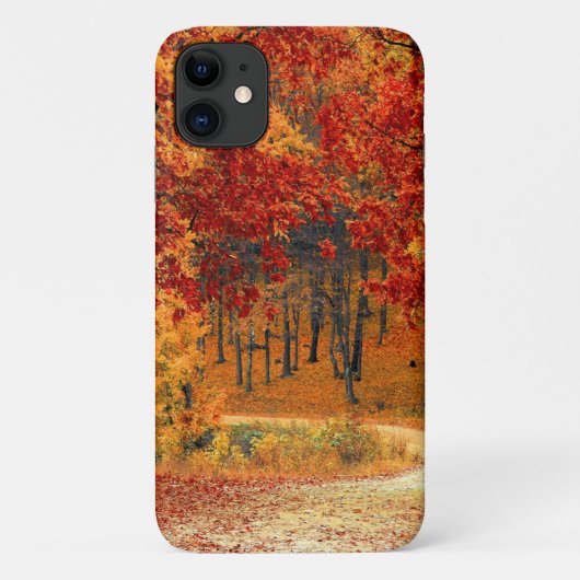 Autumn Road Case-Mate iPhone Case (Achterkant)