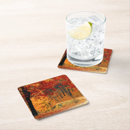 Autumn Road Kartonnen Onderzetters (Insitu)