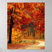 Autumn Road Poster (Voorkant)