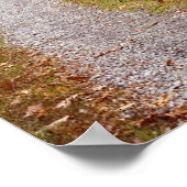 Autumn Road Print (Hoek)