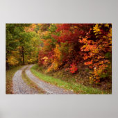 Autumn Road Print (Voorkant)