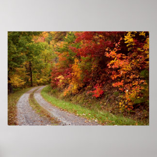 Autumn Road Print