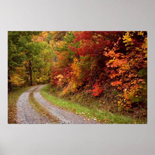 Autumn Road Print (Voorkant)