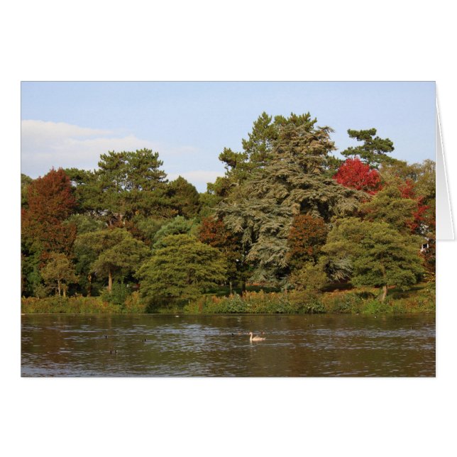 Autumn, Roath Park Lake, Cardiff (Voorkant Horizontaal)