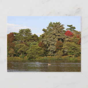 Autumn, Roath Park Lake, Cardiff Briefkaart