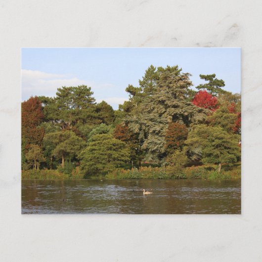 Autumn, Roath Park Lake, Cardiff Briefkaart (Voorkant)