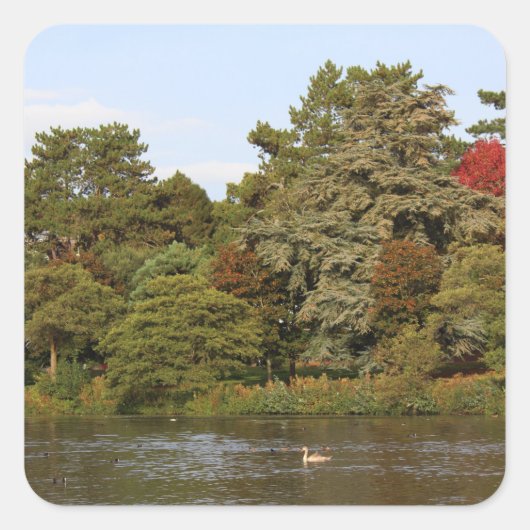 Autumn, Roath Park Lake, Cardiff Vierkante Sticker (Voorkant)