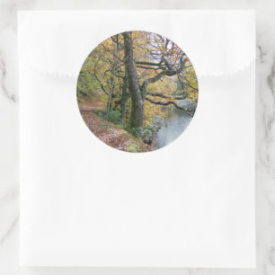 AUTUMN RONDE STICKER