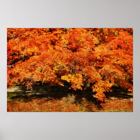 Autumn Rust Poster (Voorkant)