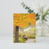 Autumn Scene Briefkaart (Staand voorkant)