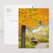 Autumn Scene Briefkaart (Voorkant / Achterkant)