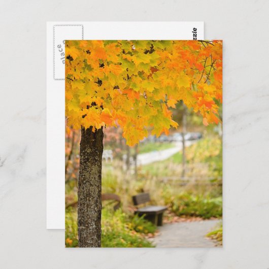 Autumn Scene Briefkaart (Voorkant / Achterkant)