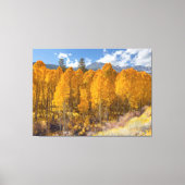 Autumn Scene Canvas Afdruk (Voorkant)
