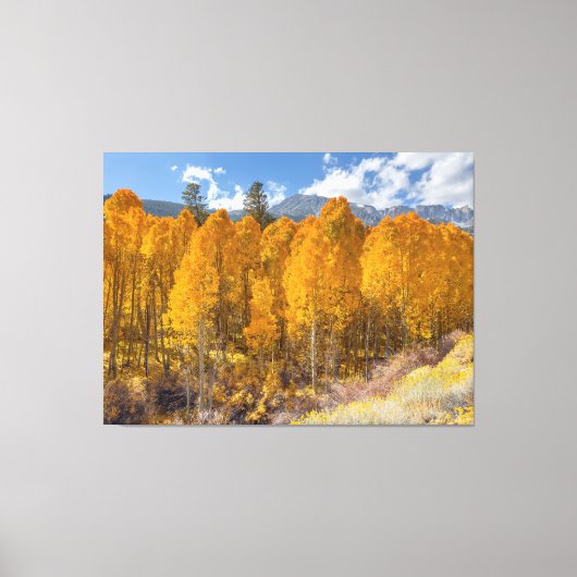 Autumn Scene Canvas Afdruk (Voorkant)