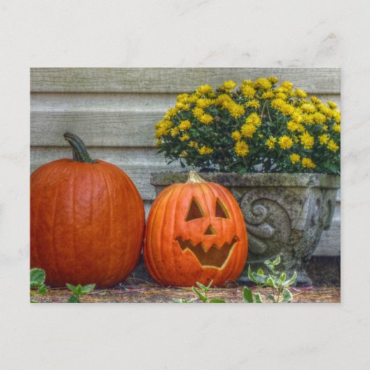 Autumn Scene Post Kaart (Voorkant)