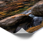 Autumn Scene Poster (Hoek)