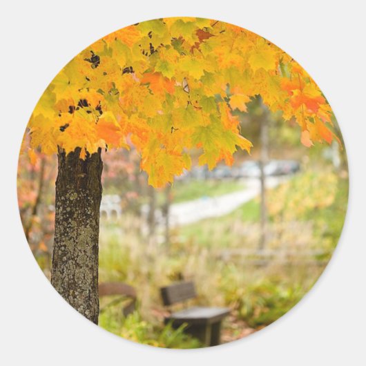 Autumn Scene Ronde Sticker (Voorkant)