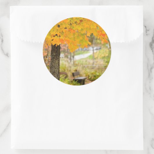 Autumn Scene Ronde Sticker (Tas)