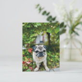 Autumn Schattige Pug Briefkaart (Staand voorkant)