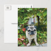 Autumn Schattige Pug Briefkaart (Voorkant / Achterkant)