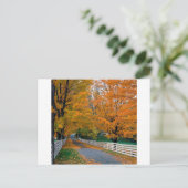 Autumn Schilderachtig Backroad New Hampshire Briefkaart (Staand voorkant)