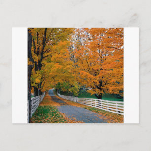 Autumn Schilderachtig Backroad New Hampshire Briefkaart