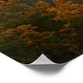 Autumn Serenade Poster papier (mat) (Hoek)