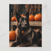 Autumn Shepherd Briefkaart (Voorkant)