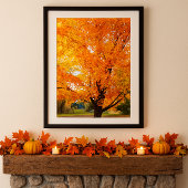 Autumn Silver Maple Tree Photo Print Poster