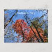 Autumn Sky Colorful Autumn Trees Photographic Briefkaart (Voorkant)