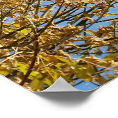 Autumn sky poster (Hoek)