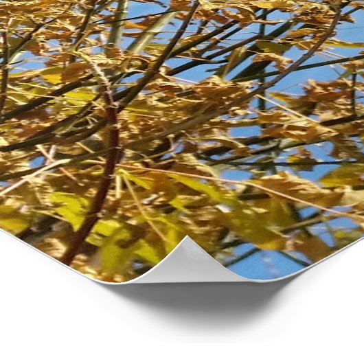 Autumn sky poster (Hoek)